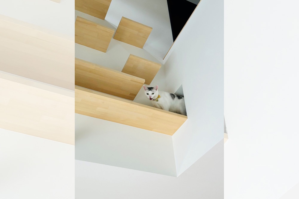 猫が遊べるキャットウォーク