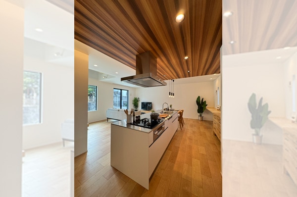 CASE 12 K-House