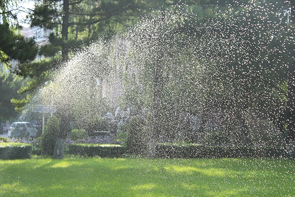 打ち水・緑のカーテン・屋上緑化など、夏の暑さをエコに解消