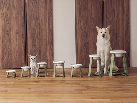 犬用品