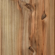 サンプル 屋久島地杉140×38