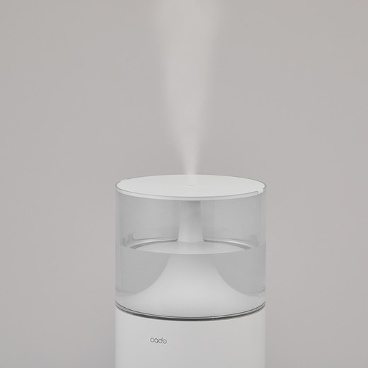 カラー：ホワイト