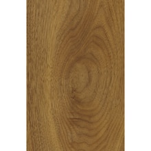 カチンコチン ウォルナット