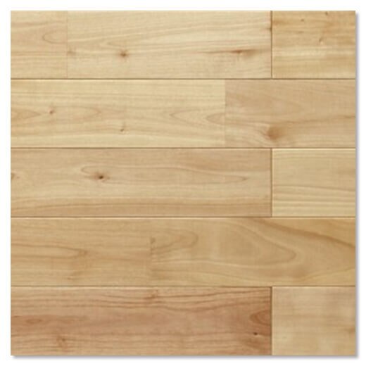 はる FL17759_face_sp.jpg?date=