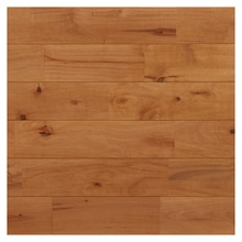 サンプル サクラ(西南カバ)90ラスティックオイル塗装カナリアPユニ