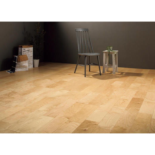 コンビットグラードプラス152 サクラ（カバノキ）(FL29061