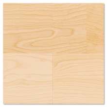 コンビットグラードプラス152 サクラ(カバノキ)