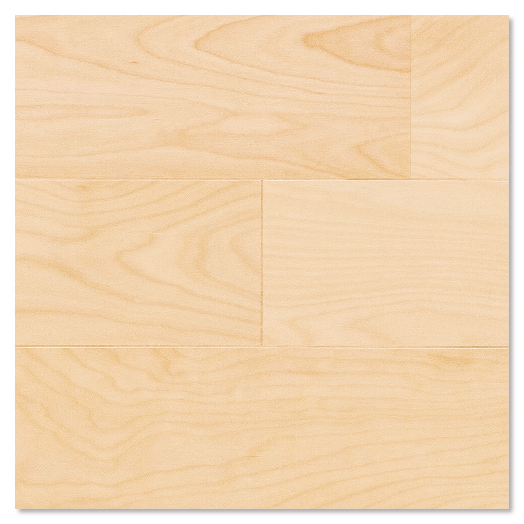 サンプル コンビットグラードプラス101 サクラ(カバノキ)