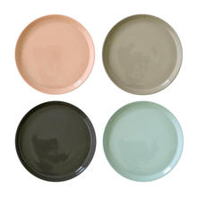 PLATE 210 4color set
