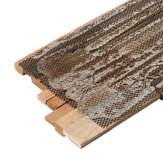 小口裏面の様子