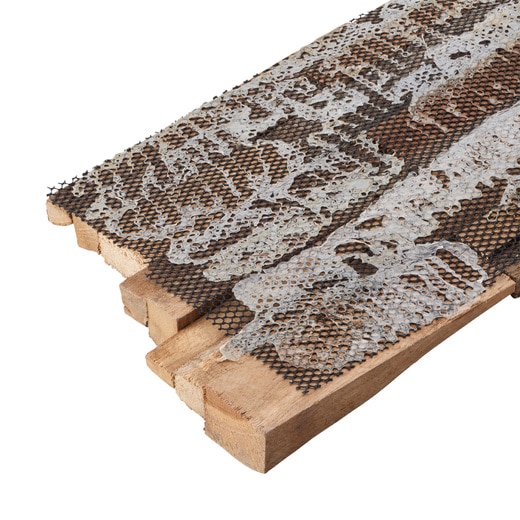 小口裏面の様子