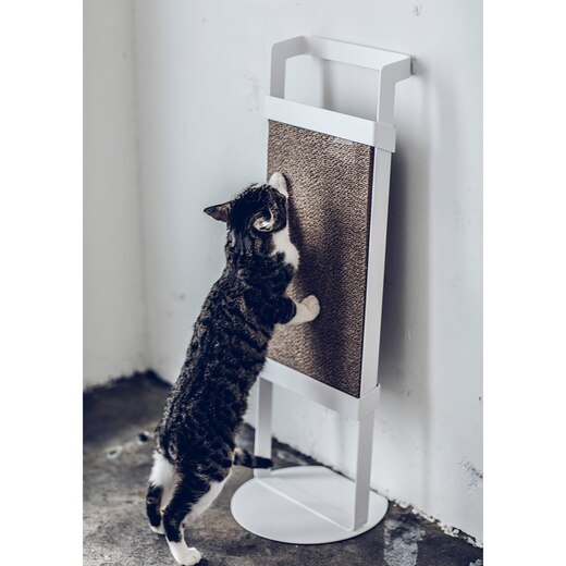 画像カラー：ホワイト