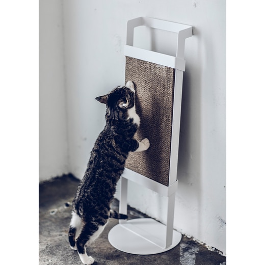 画像カラー：ホワイト