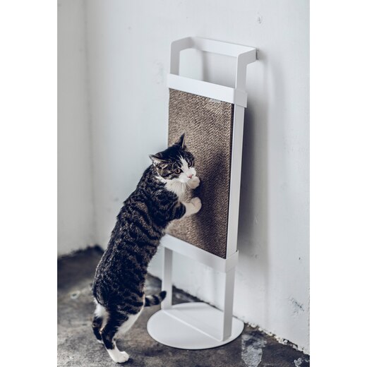 画像カラー：ホワイト