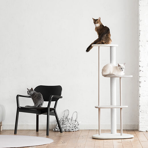 使用頭数目安は猫2匹まで（画像カラー：ホワイト＆シアーホワイト）