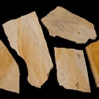 サンプル アルビノイエロー乱形石