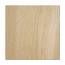 サンプル セルベジャンテ 本磨き×t13mm