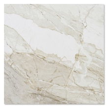 サンプル ブレンド ホワイト