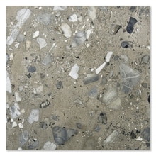 サッシトーリ アルジーラ 901