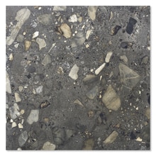 サッシトーリ アントラチーテ 901