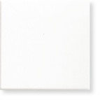 サンプル マジスカホワイト マット10