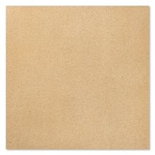 サンプル ナミブキャメル