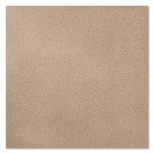 ナミブ 598 アース