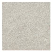 レコード アーモンド