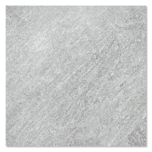 サンプル レコード グレー