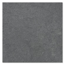 サンプル レコード ブラック