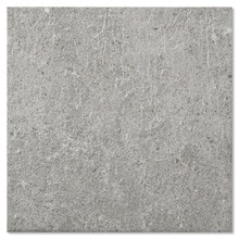 アルジェント アッシュ 225