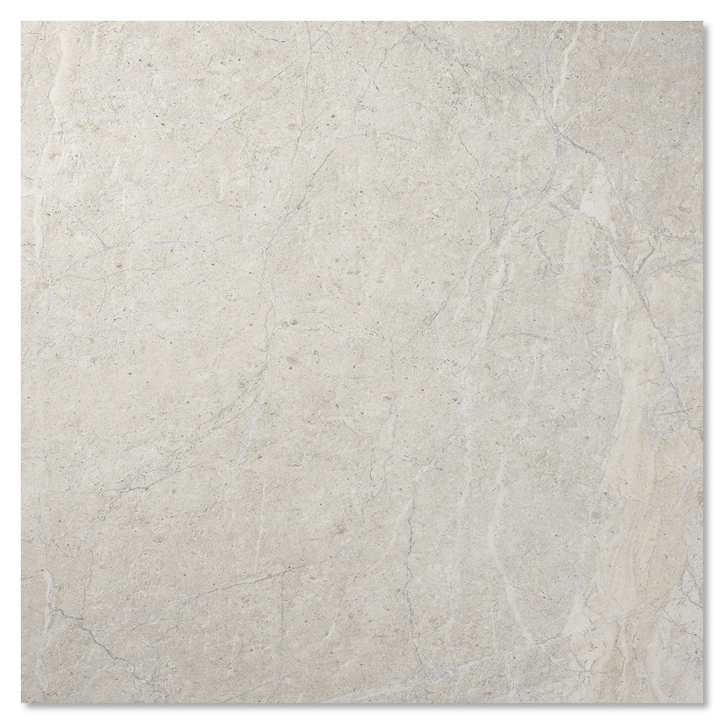 サンプル ウォーンアンソロ ホワイト