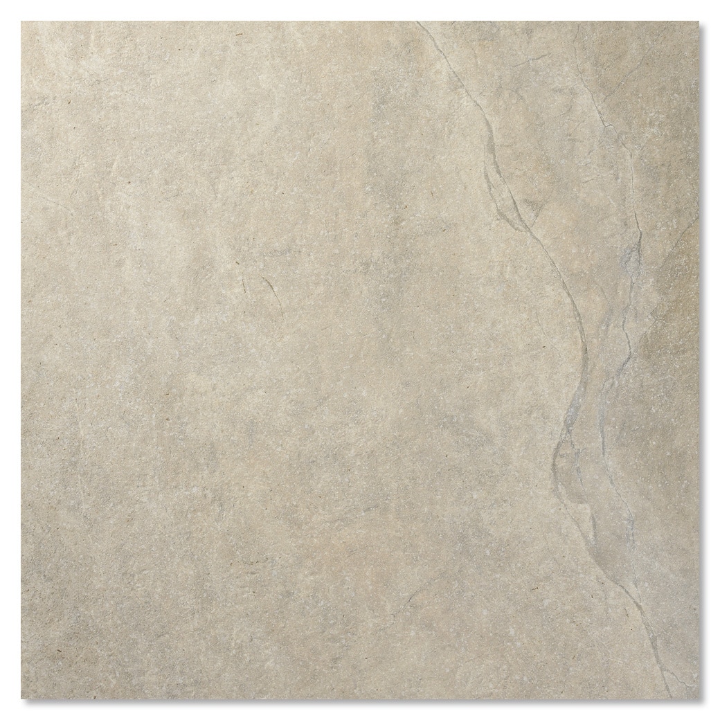 サンプル ウォーンアンソロ デザート