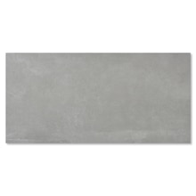 アズマ 597-1196 シルバー