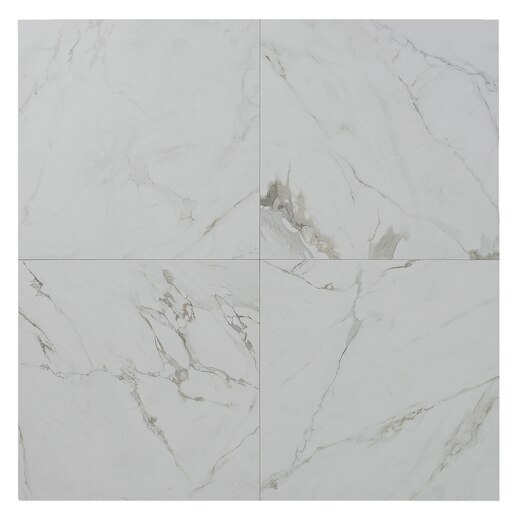 アーティルゴルキーニ 　4枚 アーテルゴルギーニ4枚