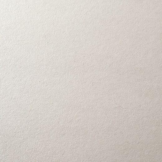 マッシブ 298-600 スノー(TL95401)｜タイルの通販｜ミラタップ（旧