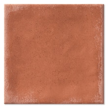 アルジーレ コット 100