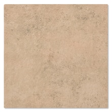 カンピアーネ ロザータ 304