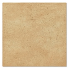 カンピアーネ オロ 305