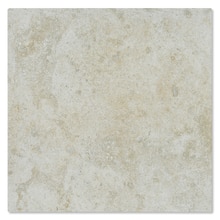 サンプル ウニカ オストゥーニ