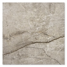 シルバールート グレー 598