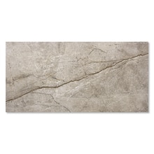 シルバールート グレー 598-1198