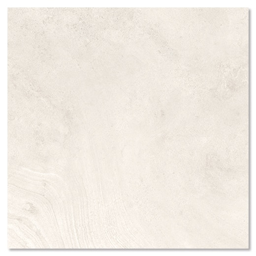 サンプル ボルゴーニャ IS2101