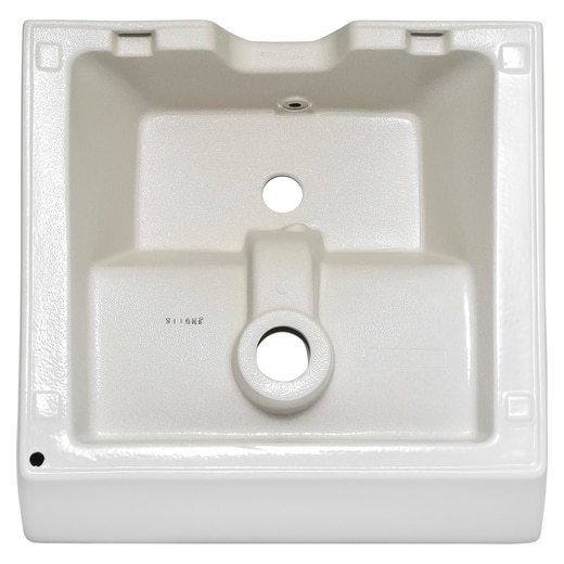 真裏から見た様子