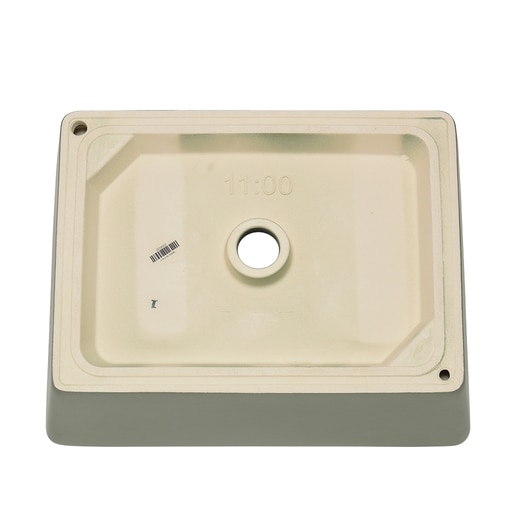 真裏から見た様子