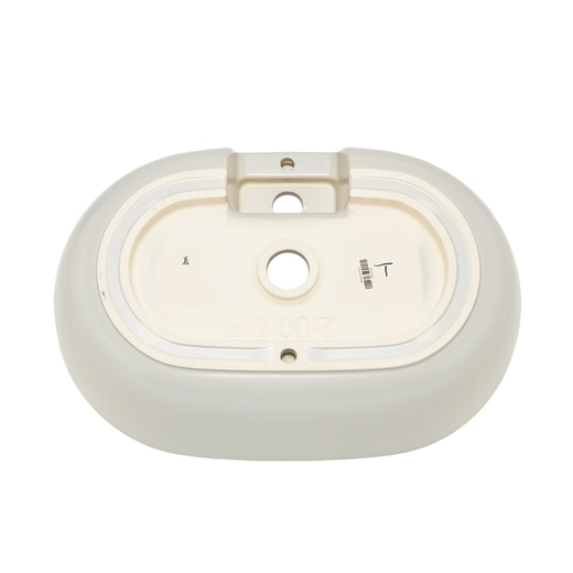 真裏から見た様子