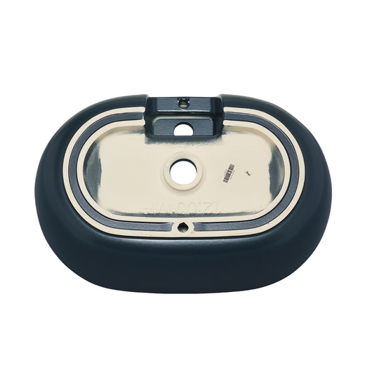 真裏から見た様子