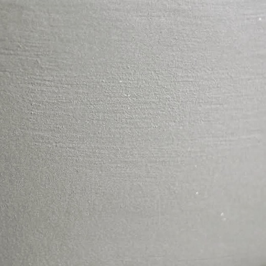 側面寄りの様子