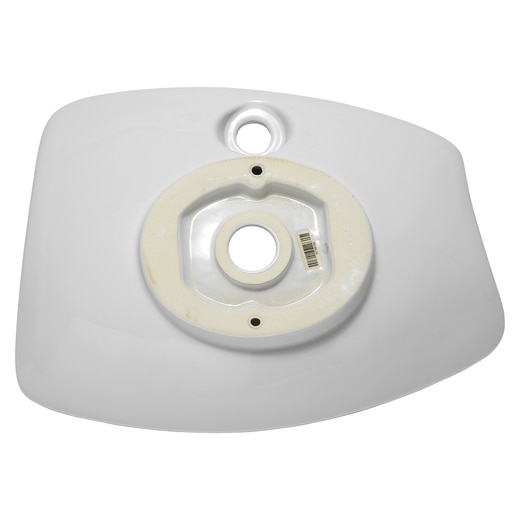 真裏から見た様子