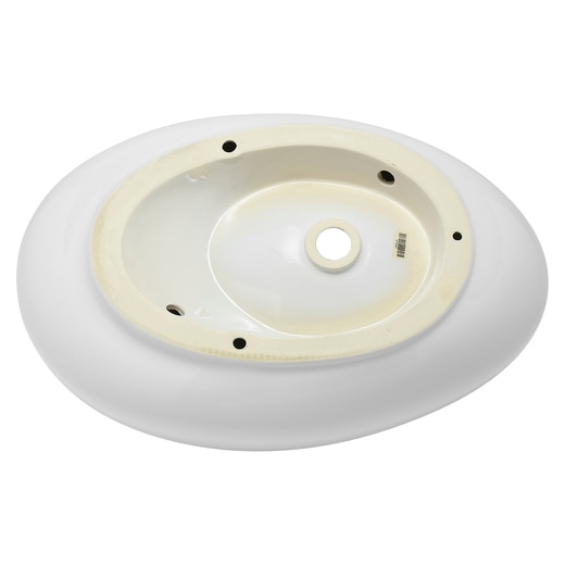 真裏から見た様子